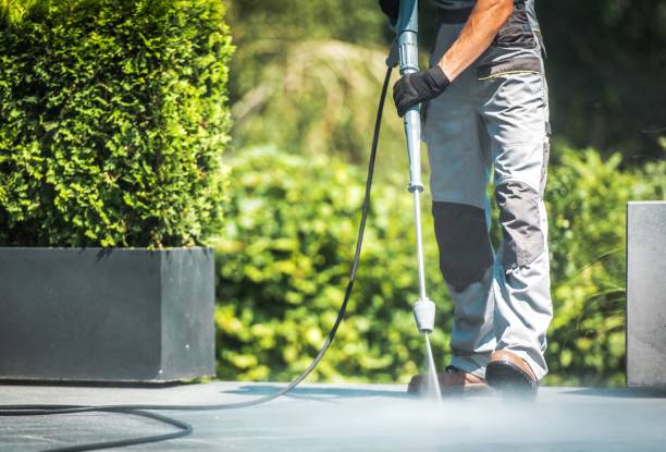 Best Solar Panel Cleaning  in Brushy Creek, TX