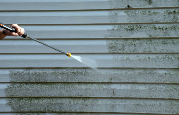 Best Residential Exterior Washing  in Brushy Creek, TX
